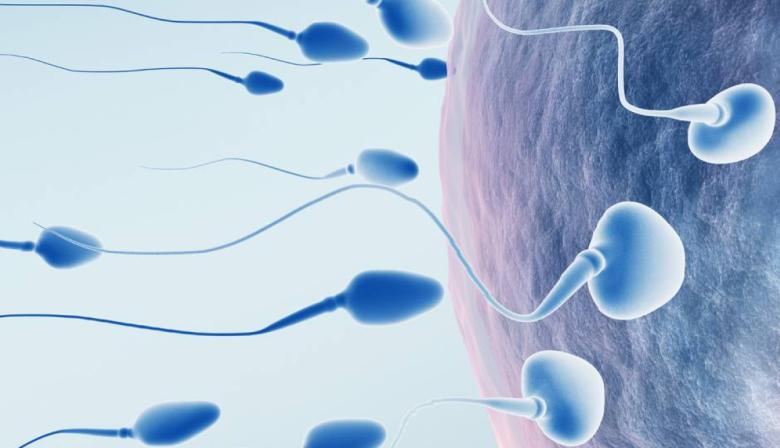 Mejorar la fertilidad es posible