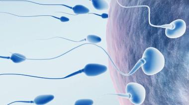 Mejorar la fertilidad es posible